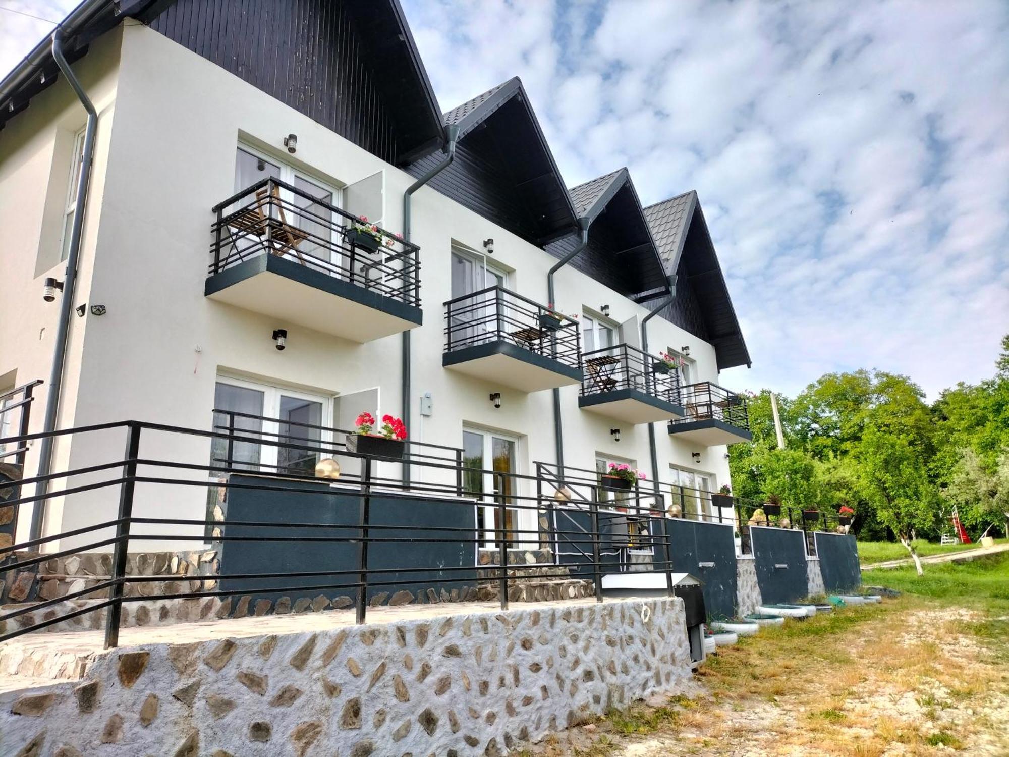 Hotel Conacul Doamnei Nucsoara Exterior foto